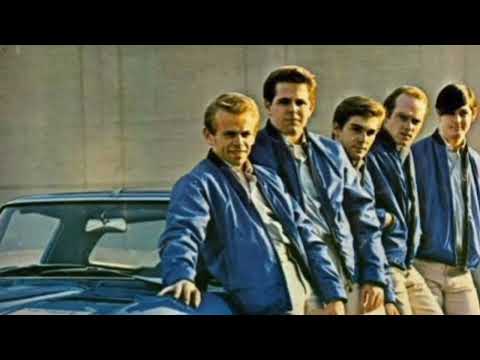 Then I Kissed Her - The Beach Boys (Hailee Steinfeld on Summer Time)