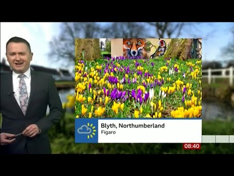 BBC Breakfast weather: Next few days temperatures above average.