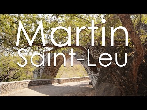 Martin - Saint-Leu