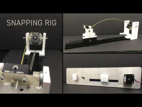 Phantom 2512 Ultrahigh-Speed Camera - Solving the Mystery of Snapping Spaghetti