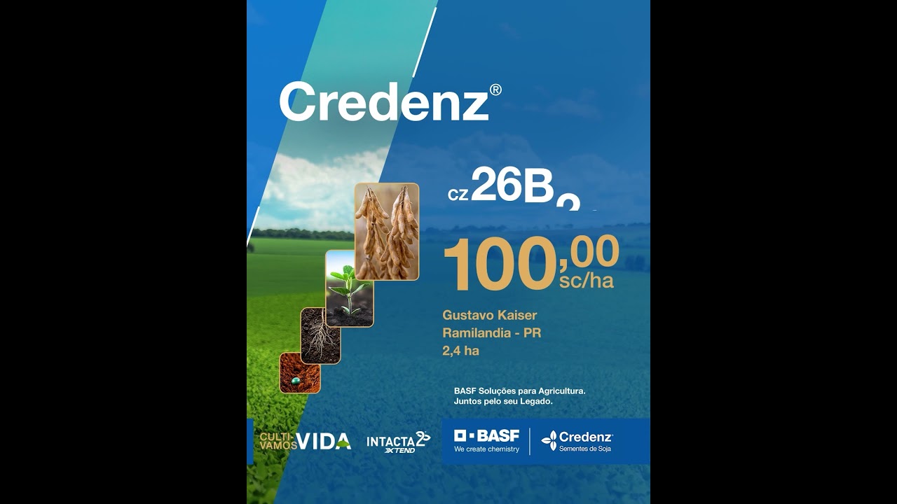 Resultados Credenz® no Paraná: CZ 26B41 I2X e CZ 26B26 I2X em destaque.