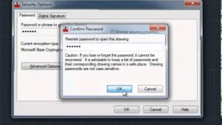 Protect AutoCAD File with Password