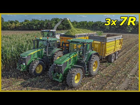 Siláže Kukuřice 2023 🌽 John Deere Tractors 🚜 ZD Klenovice na Hané