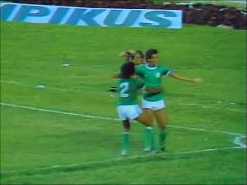 Flamengo 1 x 4 Palmeiras (Brazilian Championship 1979)