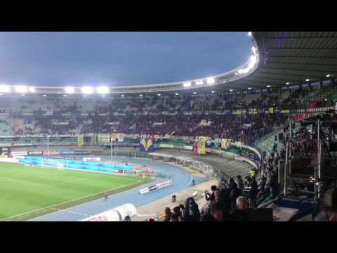 Hellas - Novara 16-11-14 Curva Sud