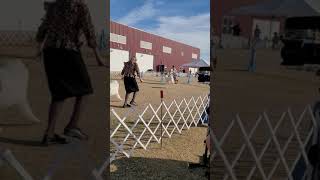 Download lagu 20201121 151453 mp3