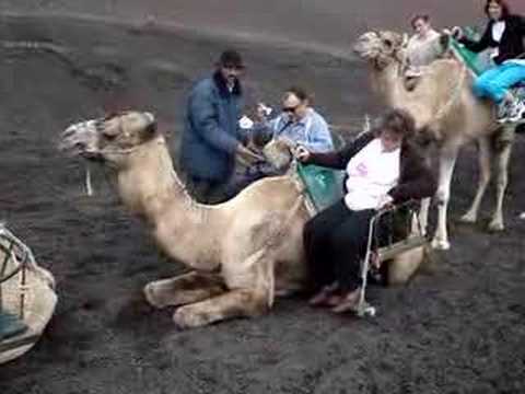 Circulo Lectores Lanzarote 2007 Como se agacha un Camello