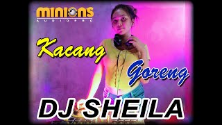 Download lagu YOPIE LATUL - DJ KACANG GORENG REMIX | DJ SHEILA | VIRAL mp3