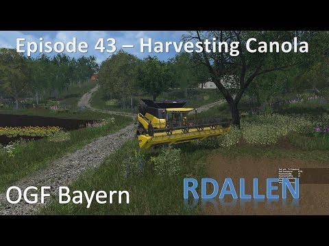 Farming Simulator 15 OGF Bayern E43 - Not Chopping Harvesting Canola