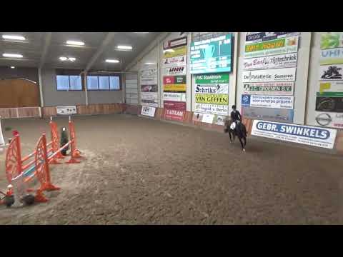 HBR Jordan - 5yr Stallion by Air Jordan - from my young horses program