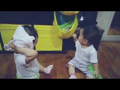 10month old fraternal baby twins Adeline&Audrey toy fight funny video