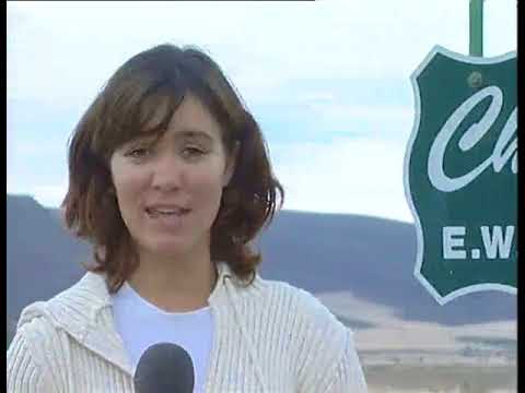 Rabiya - Fieldspring Racing