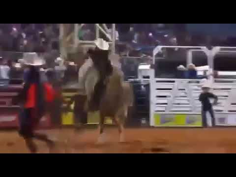 Olha ai o agressivo do Paulo Emílio