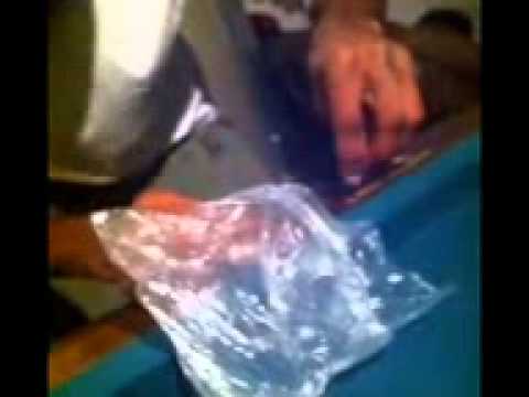 HBA GT studio session Bru rolling up