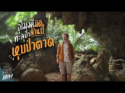 ถ้ำหุบป่าตาด