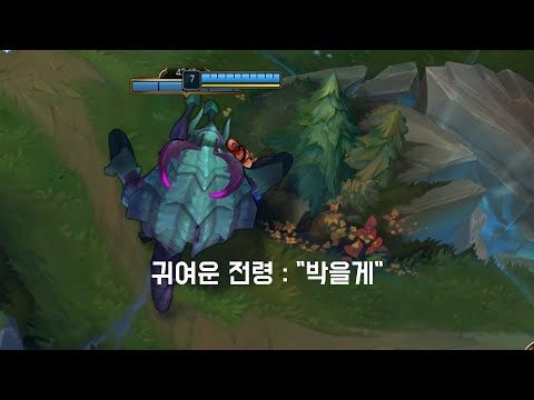 아이콘