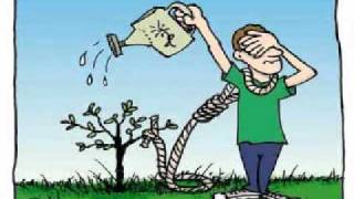 Red Red Meat-Cillamange