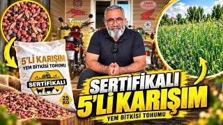 5’Lİ KARIŞIM YEM BİTKİSİ TOHUMU NEDİR? | İçeriğinde Neler Var, Ne İşe Yarar?