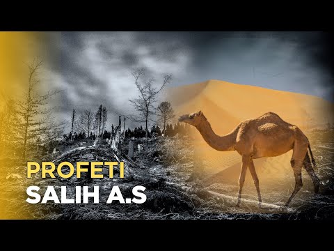 Historia e profetit Salih a.s me devene dhe denimi i popullit te tij