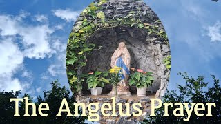 Download the video "THE ANGELUS PRAYER#prayer #angelus #catholicprayer "