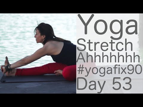 30 minute Full Body Yoga Stretch (stretching Workout) Day 53 Yoga Fix 90 | Fightmaster Yoga Videos