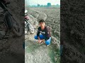 Are O Sambha Teri Bahan Ki Jhant Mein Lauda
