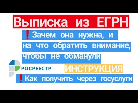 Выписка из ЕГРН. Зачем она нужна и на что обратить внимание. Как получить выписку через госуслуги