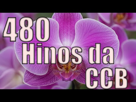 480 Hinos Cantados CCB - 01,02,03,11,275,460,275,180,307,211,115,35,68 - CCB 28/12/2025