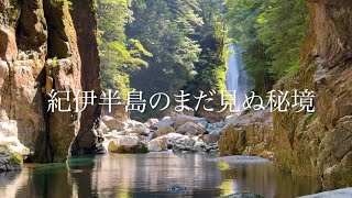 それは「大杉谷」です。近畿の絶景、日本三大渓谷に行ってみましょう。