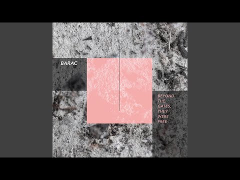 I Shall Not Be Shaken