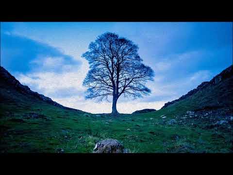 FMC & MACKBERK - BİZSİZ