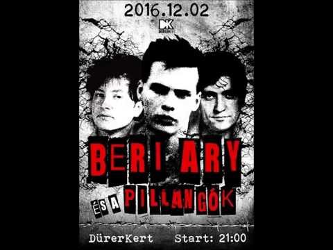 Beri Ary és a Pillangók : Napfény, eső (1987)