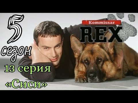 Комиссар Рекс, 5 сезон, 13 серия «Сиси»