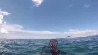 preview picture of video 'Snorkeling in lombok NTB ( gili kondo, gili kapal, gili lampu)'