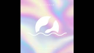 Yogee New Waves - Suichutoshi