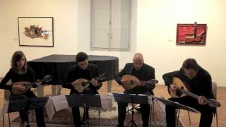 Nov Mandolin Ensemble: Clignotements - A. Markeas