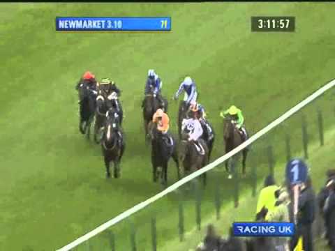 Parish Hall - 2011 Dewhurst Stakes