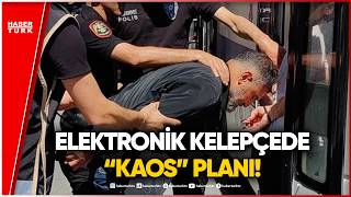 Barış Boyun Örgütünün Türkiye Ve Avrupa’daki Karanlık Planları