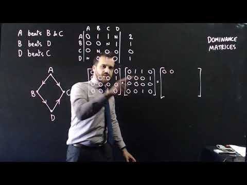 Dominance Matrices from start to finish