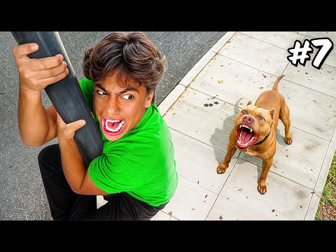 10 MANEIRAS DE FUGIR DE UM CACHORRO!