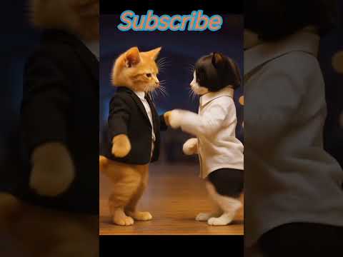 cat dancing😍