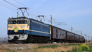【貴重】ELレトロぐんま桐生号