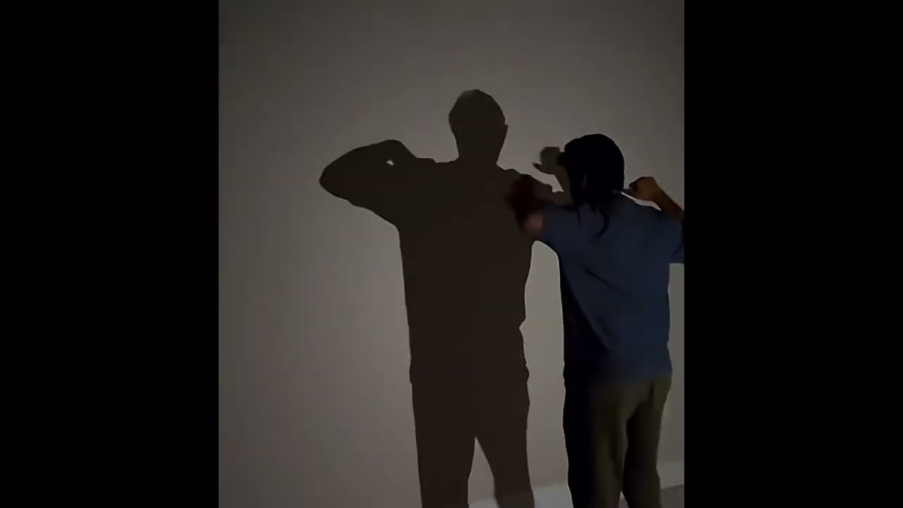 Father Daughter Dancing Shadow || ViralHog