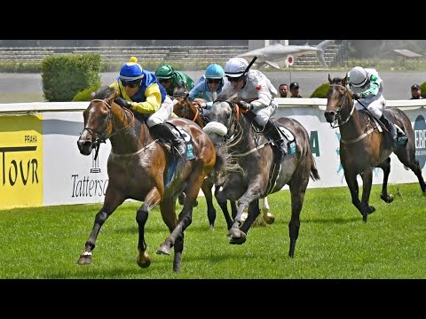 ŽIVĚ 🔴 | Dostihy: České Derby - Chuchle Arena Praha – 26. 6. 2022