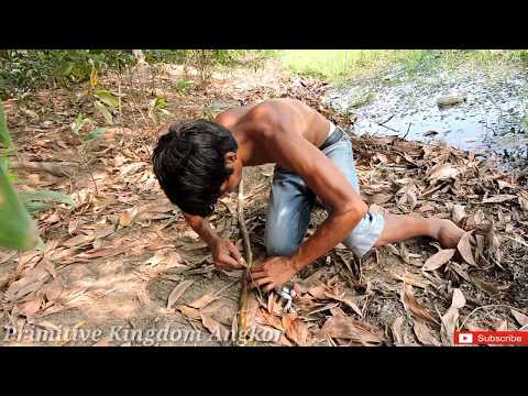 Find Food - Making Spear Catching Frogs For Food