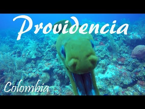 Diving Isla de Providencia in Colombia (Dive Sites El Planchon, Sonny's Place & Bajo de San Felipe)