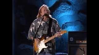 Crosby, Stills, Nash &amp; Young - Love the One You&#39;re With (Live at Farm Aid 2000)