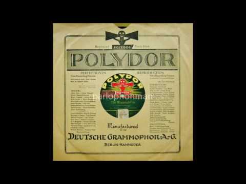 Paul Godwin :  The Weekend Fox !