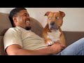 When Your Dog Is The Funniest Family Member Funny Dog And Human Video 2025
