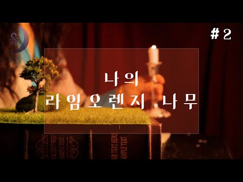 나의라임오렌지나무 2부/아기예수는 슬픔 속에서 태어났다/ASMR